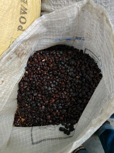 Organic tamarind seeds, Packaging Size : 50g, 25Kg 9%