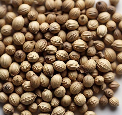 Coriander Seeds, Color : Brown for Culinary