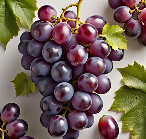 Fresh Grapes, Color : Purple, Packaging Type : Plastic Container