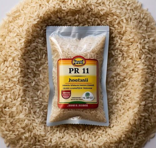 PR 11 Non-Basmati Rice, Color : White for Cooking