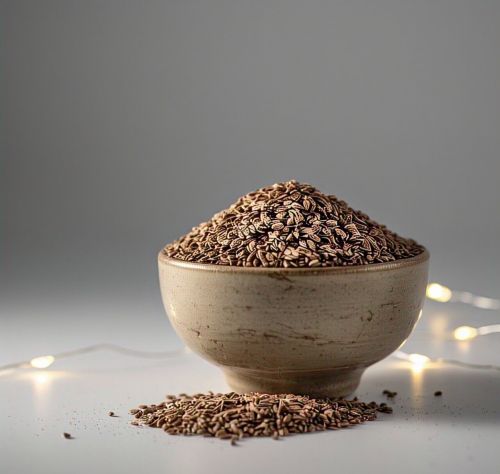 Psyllium Seeds, Color : Brown for Dietary Supplement