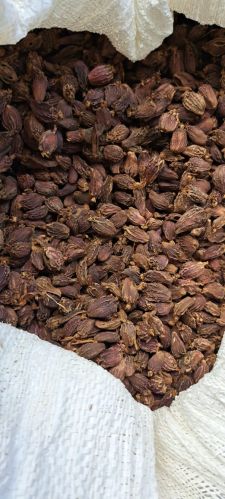 Organic Black Cardamom, Color : Brown, Grade Standard : Food Grade