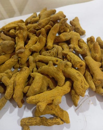 Polished turmeric finger, Packaging Size : 50 Kg