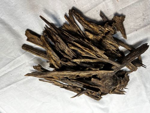 Agarwood Chips Zura, Packaging Type : Brown, Purity : 100%