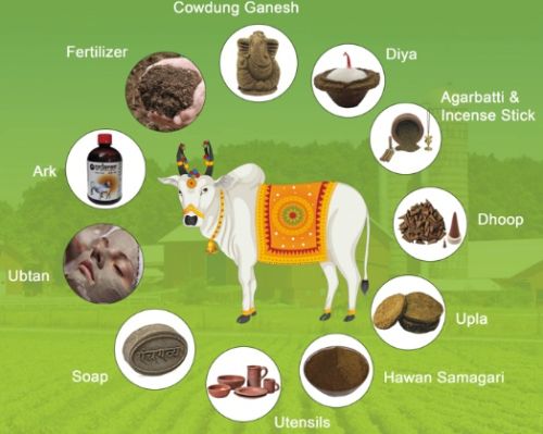 Cow dung powder