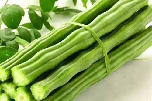 Drumstick, Color : Green for Culinary Purposes