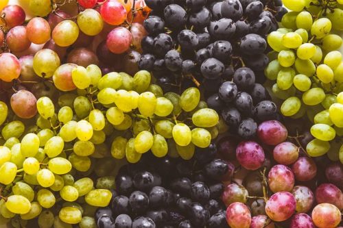 Grapes, Color : Purple/red/green for Consumption