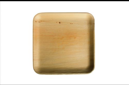Square Palm Leaf Plate All Size