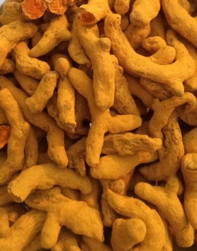 Assam Organic Turmeric Finger