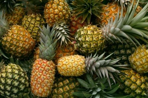 Fresh Abacaxi Pineapple for Home, Juice, Human Consumption