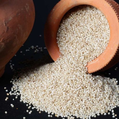 Natural Barnyard Millet Seeds, Packaging Size : 30kg 10%