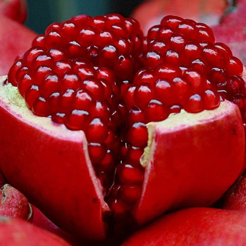 Fresh Pomegranate, Packaging Type : Loose Or In Mesh Bags