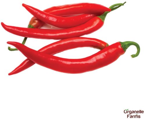 Fresh Chilli Red - 100 Gms