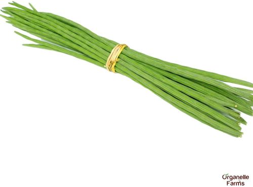 Fresh Drumstick-250 Gms, Speciality : 100% Natural Chemical-free