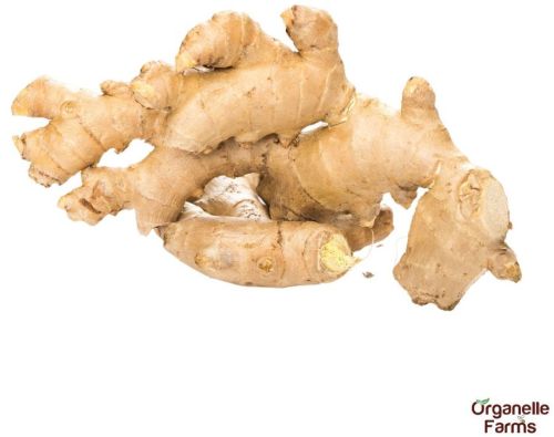 Organelle Farms Fresh Ginger-100 Gms