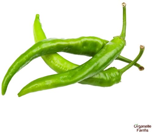 Organelle Farms Fresh Green Chilli-100 Gms