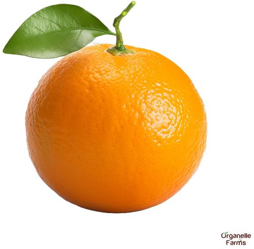 Fresh Kinnow, Color : Orange