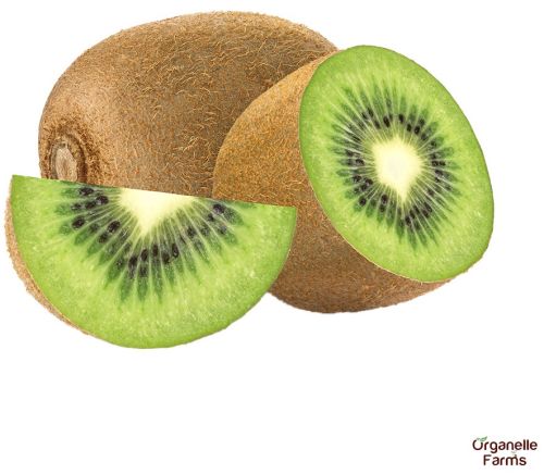 Fresh kiwi, Feature : No Preservatives, No Artificial Flavour