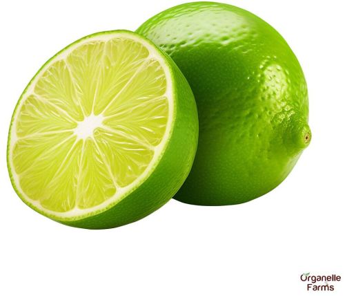 Organelle Farms Fresh Lemon- 5 PC