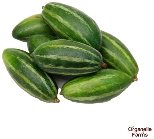 Fresh Pointed Gourd(Potala) (desi)-250 Gms