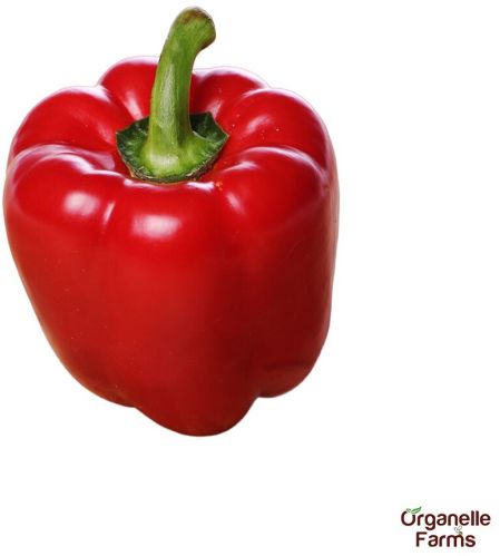 Organelle Farms Fresh Red Capsicum- 500gms