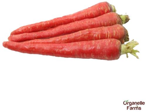 Organelle Farms Fresh Red Carrot-500 Gms