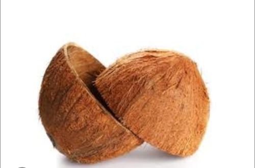 Geo Natural Coconut Shell, Color : Brown Dried