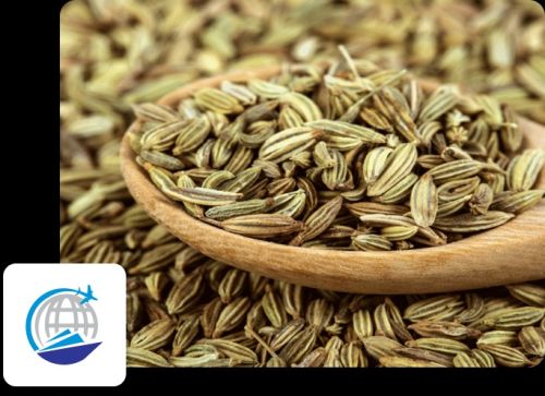 Fennel seeds, Moisture : 8% Max