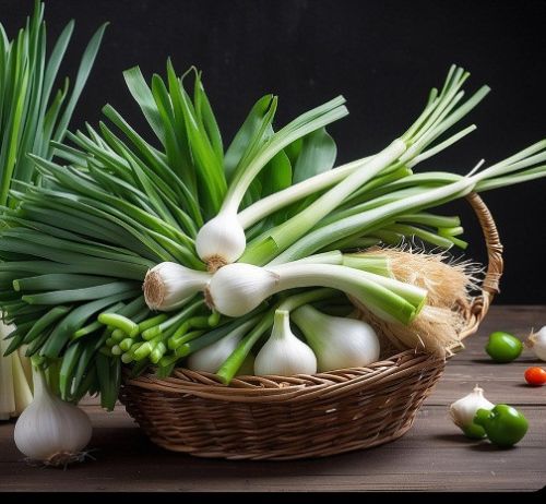 Spring Onion, Color : Green For Cooking, Restaurant