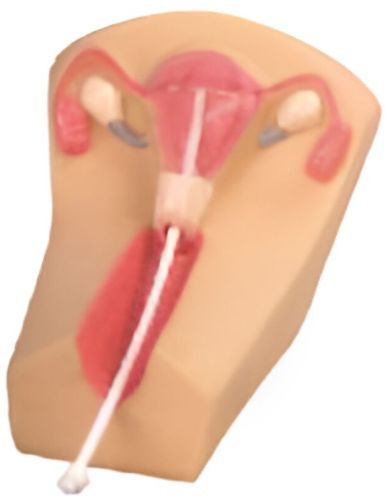 Medcounty Iud Training Simulator