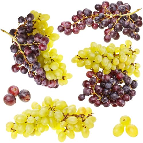 Fresh Grapes, Packaging Type : Plastic Container