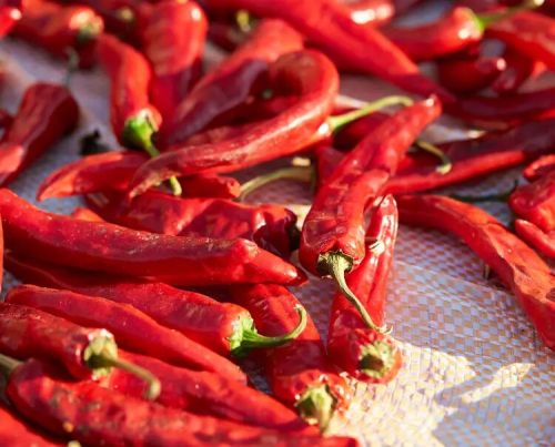 Red Chilli, Packaging Type : Typically Sold Fresh, Dried