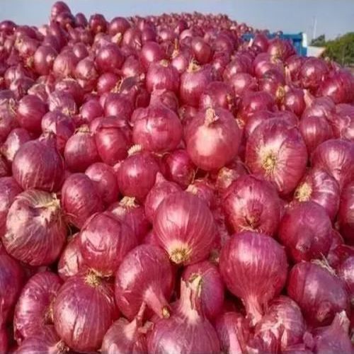 Natural Red Onion, Certification : FSSAI Certified for Cooking Use