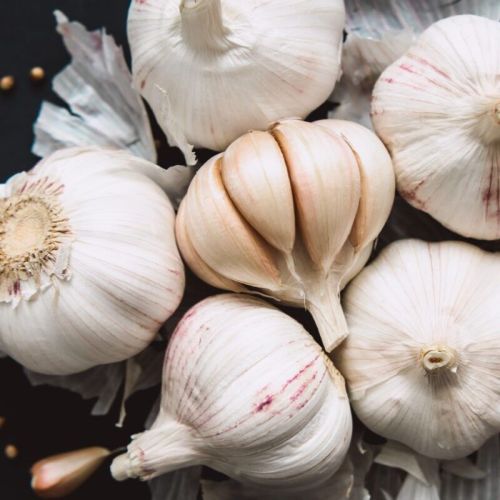 Fresh Garlic, Color : White, Packaging Type : Loose for Culinary
