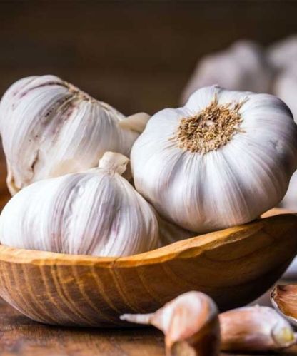 Garlic, Color : Standard