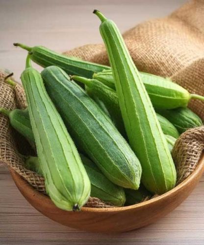 Ridge Gourd, Color : Green