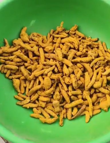 Natural Single Polish Turmeric Finger, Grade Standard : Food Grade