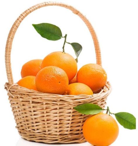 Fresh Oranges, Certification : Export Certified for Juice, Desserts
