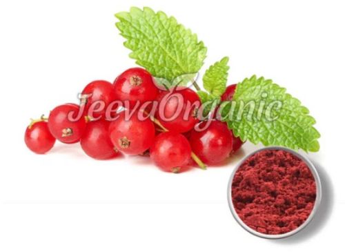 Cranberry Extract Powder 4:1