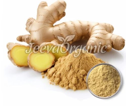 Ginger Root Extract Powder 2.5% Gingerol, HPLC