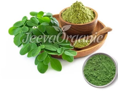 Organic Moringa Powder, Color : Green