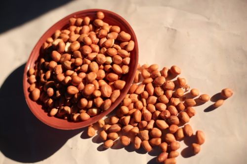 GROUNDNUT SEED, Color : Brown