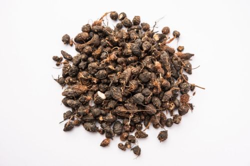 Neem Seed