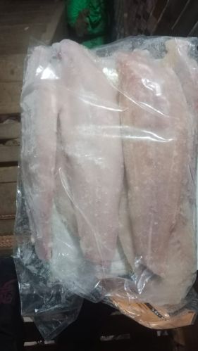 Frozen Basha Fish, Brand Name : RAMAKRISHNA FOODS