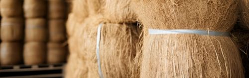 Coir Fibre Bale, Packaging Type : Natural for Brush & Broom Industry