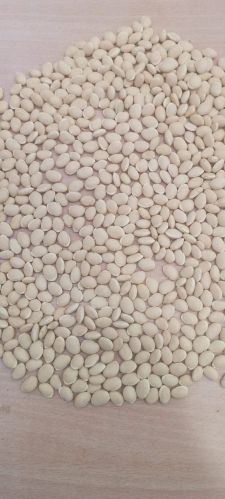 Shyam Agro Organic Kutchi Lima Beans, Packaging Size : 50Kg for Food