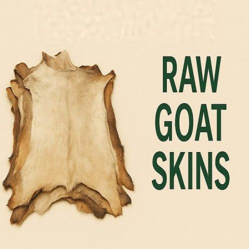 Plain Raw Goat Skin, Color : Brown for Industrial
