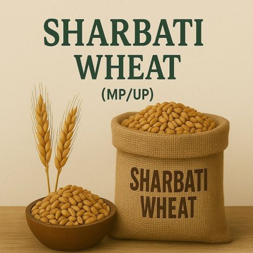 Organic Sharbati Wheat, Color : Brown Dried