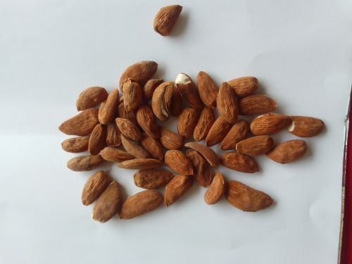 Organic Kashmiri Almonds