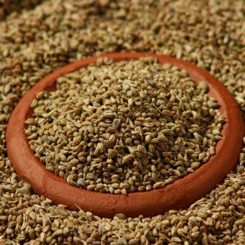 Carom (Ajwain) for Spice Culinary Purposes